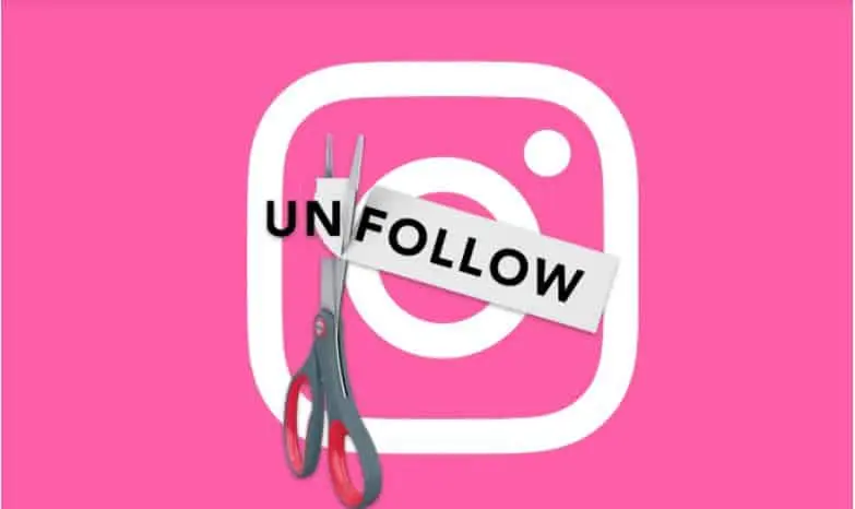 Instagram Bulk Unfollower